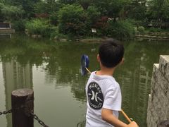-新湖明珠城