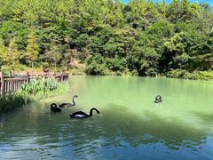 -广州白江湖森林公园