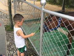 -三亚亚龙湾天域度假酒店