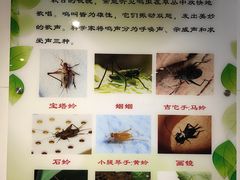 -上海昆虫博物馆