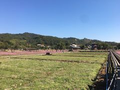 -红山村