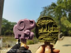 -中国科学院西双版纳热带植物园