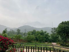 -广鹿岛景区