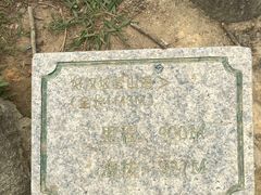 -梧桐山风景名胜区