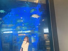 -成都浩海立方海洋公园