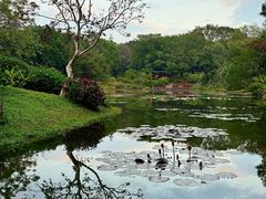 -云溪植物园