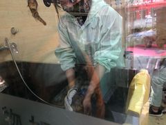 -全心全意连锁动物医院(石景山店)