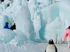 -大平台龙居瀑布旅游区