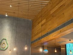 -油梨树 AVOCADO TREE(亮马桥店)
