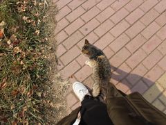 -山东外贸职业学院