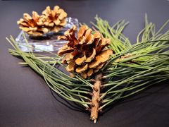 -DK45丹麦家居生活馆·依诺维绅(798店)