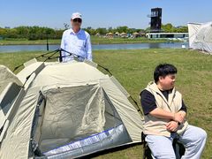 -春花秋色城市公园