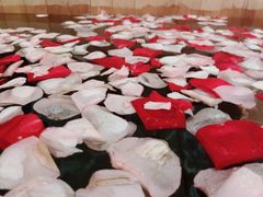 -张家港金凤凰度假村温泉