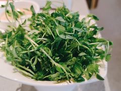 豆芽-海底捞火锅(天河方圆荟店)