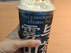 -雾与山茶(大禹城店)