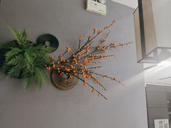 -菌彩云南野生菌火锅(万达广场店)