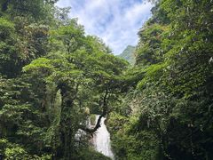 -瓦屋山景区