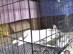 -联合动物医院(光谷诊疗中心)