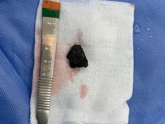 -美联众合动物医院·24h转诊中心