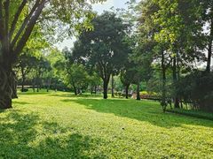 -晓港公园