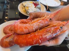 -烟台中泽华羿铂尔曼酒店·汇·全日餐厅·高空海景自助