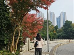 -龙头寺公园