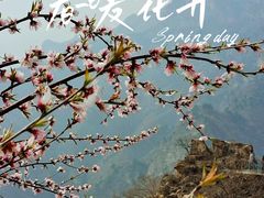 -圣莲山风景区