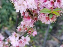 -白塘生态植物园