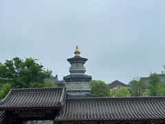 -庐山风景名胜区-东林大佛