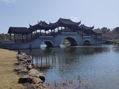 -上海海湾国家森林公园