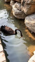 -红砖美术馆-红砖院子·宴会厅