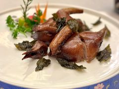 铁观音脆皮乳鸽皇-上海金桥红枫万豪酒店-万豪中餐厅