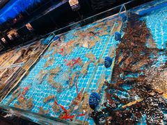 -山海•蒸汽活海鲜自助(皇庭广场店)