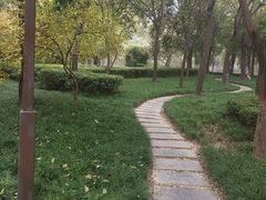 -木塔寺遗址生态公园