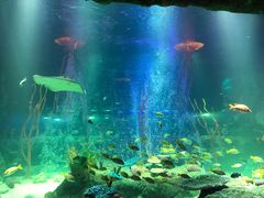 -沈阳海洋探索中心