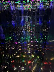 -疯狂冒险家-亲子密室-东坝店(金隅嘉品店)