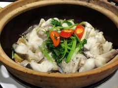 iphone_upload_pic-美极鲜食坊(宝安南路店)