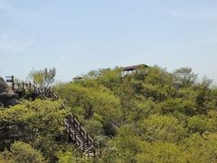 -大岭沟猕猴桃谷风景区