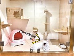 -Double Rui宠物酒店