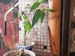 -悟饮门市景店