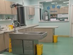 -北京观赏动物医院·24小时大型综合·猫专科·异宠专科