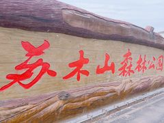 -苏木山森林公园