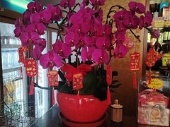 -全聚德烤鸭店(马家堡店)