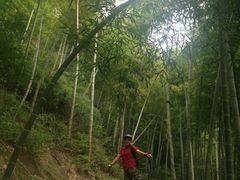 -杭州双溪漂流景区