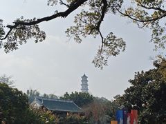 -江心屿景区