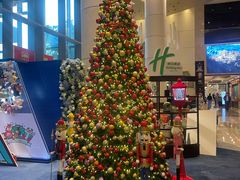 -上海浦东康桥绿地假日酒店