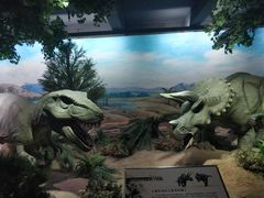 -国家自然博物馆