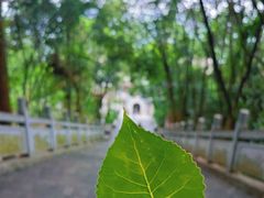 -成都老君山