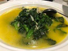 黄汤菜尖-金鼎轩(亚运村店)