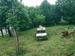 -西安秦岭野生动物园